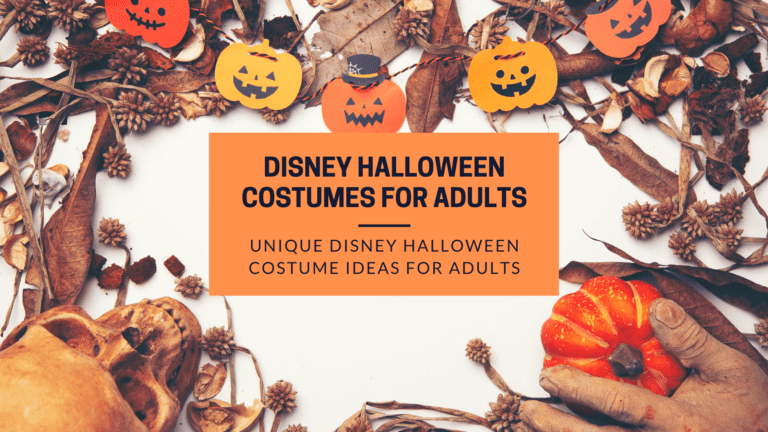 15+ Easy DIY Disney Halloween Costume Ideas for Adults