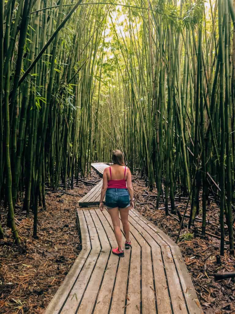 Maui - Pipiwai Trail