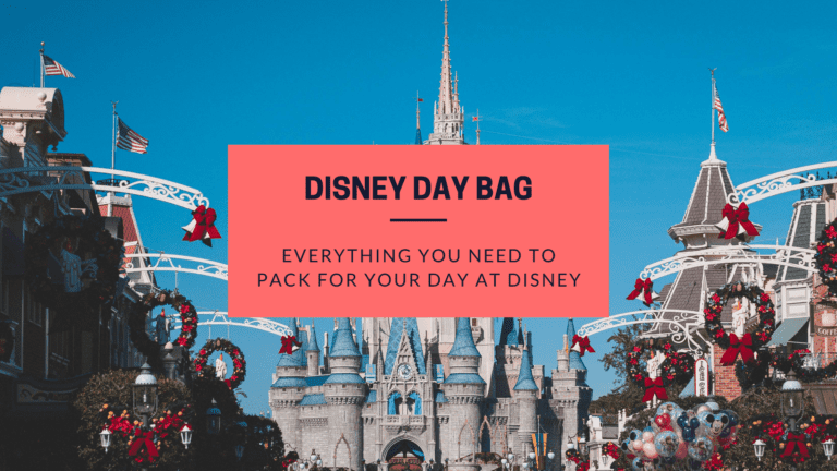 BEST Disney Day Bag- What To Pack for Your Day In The Parks!