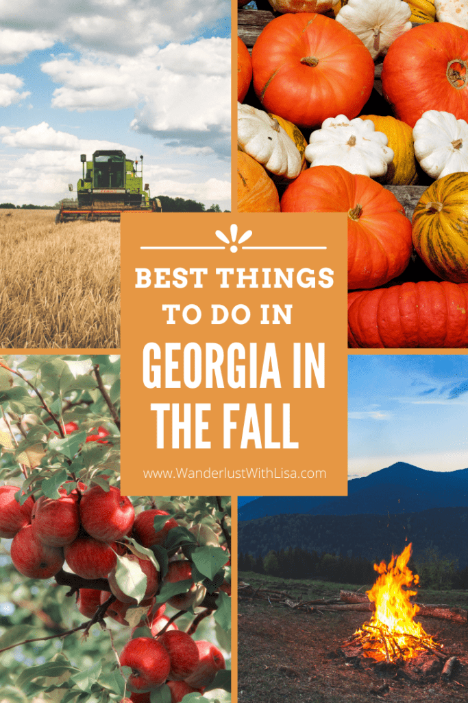 best fall things to do in georgia