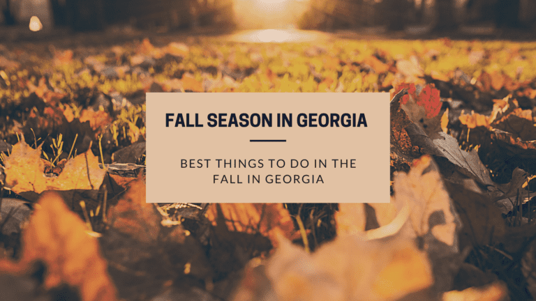 15 Best Things to Do in Georgia in the Fall
