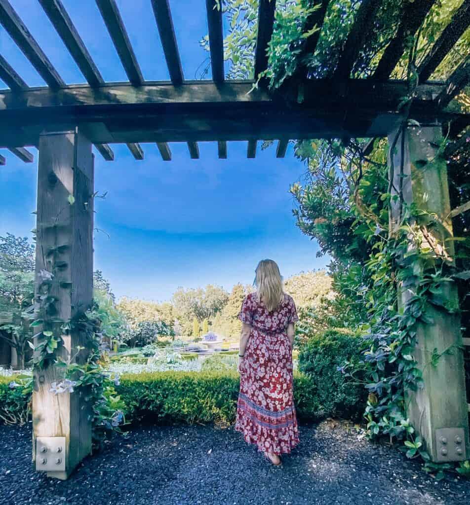 best things to see at the atlanta botanical garden - this overlook of the gardens