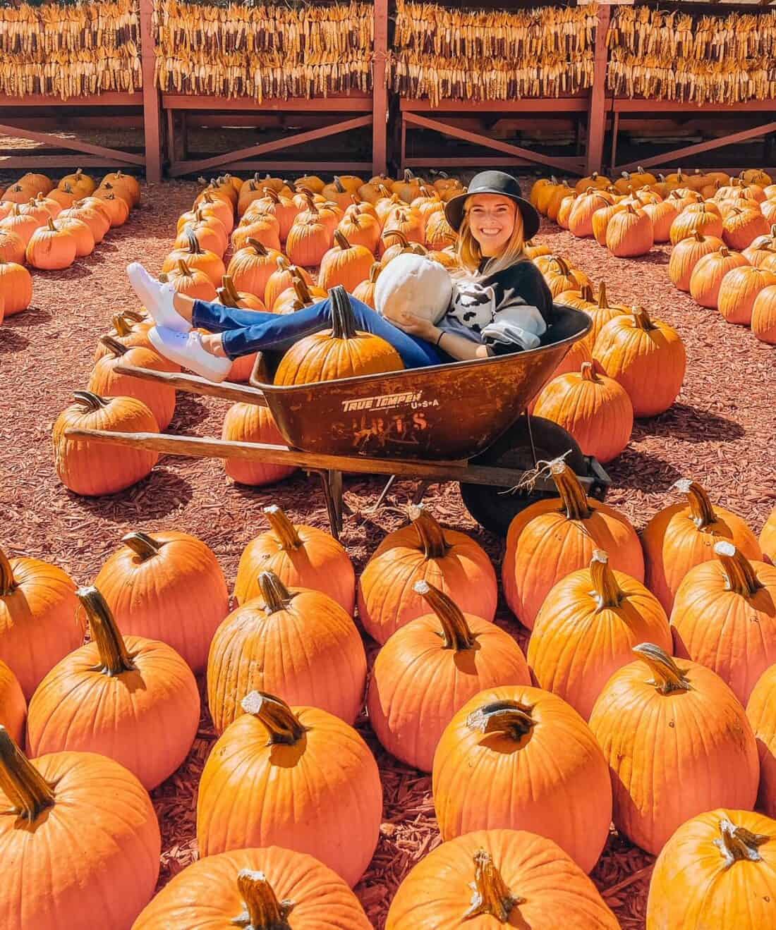 15 Best Things to Do in in the Fall Wanderlust With Lisa