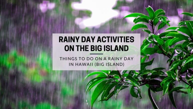 Best Rainy Day Activities on the Big Island of Hawaii