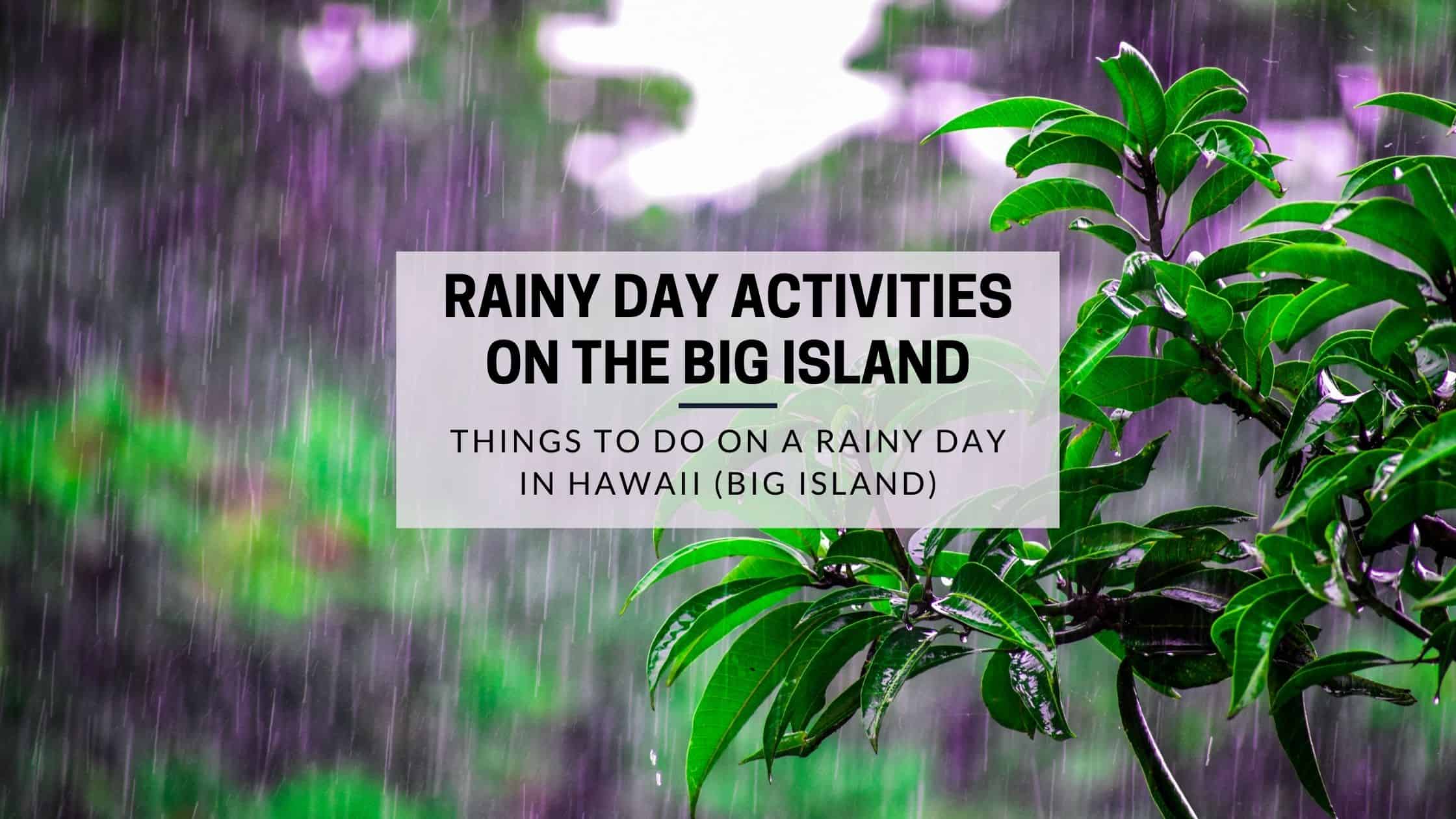 Best Rainy Day Activities on the Big Island of Hawaii Wanderlust With