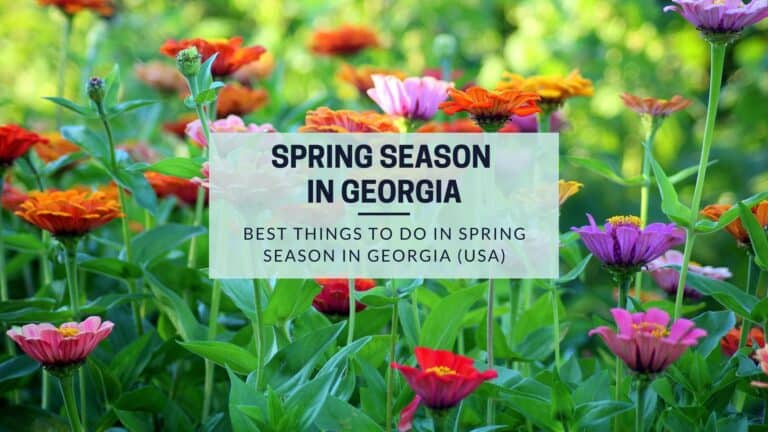 20 Amazing Things To Do in Georgia in the Spring