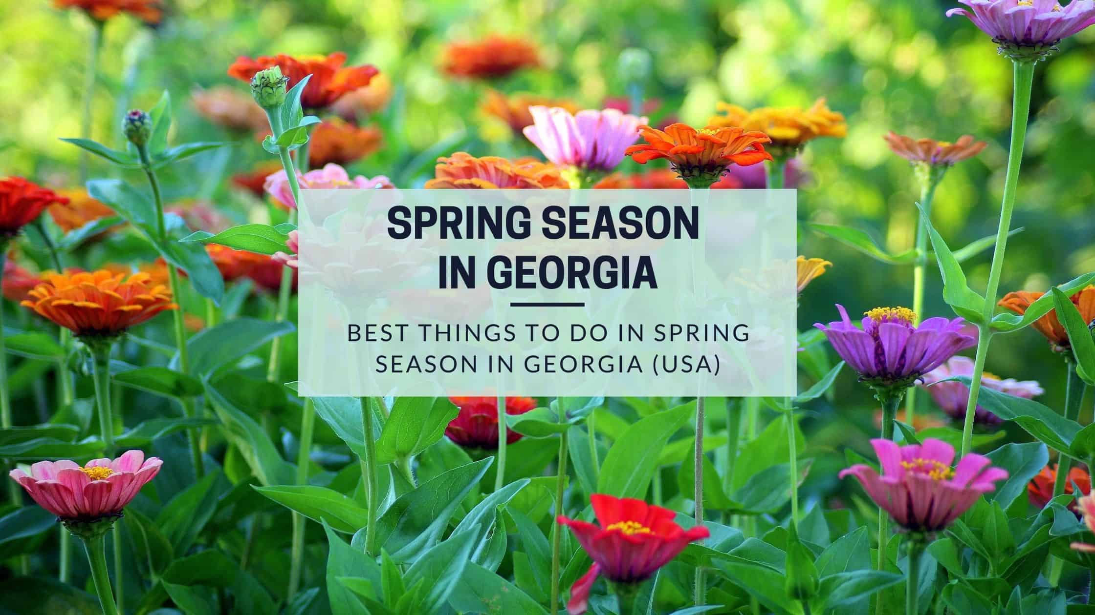 things to do in georgia in the spring