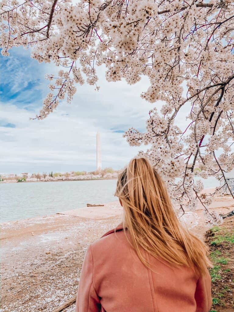 views at the tidal basin during cherry blossom season in dc