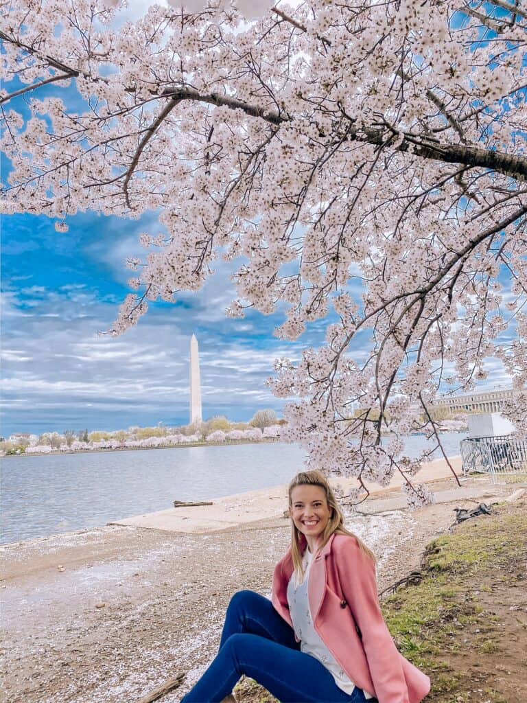 cherry blossoms at the tidal basin