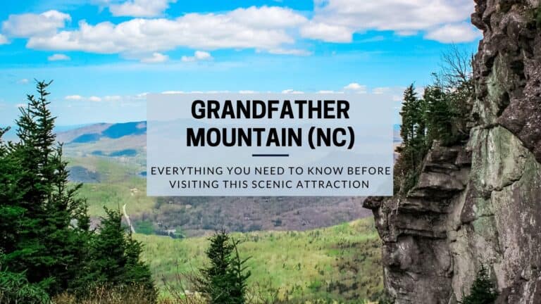 Everything You Need To Know Before Visiting Grandfather Mountain In NC