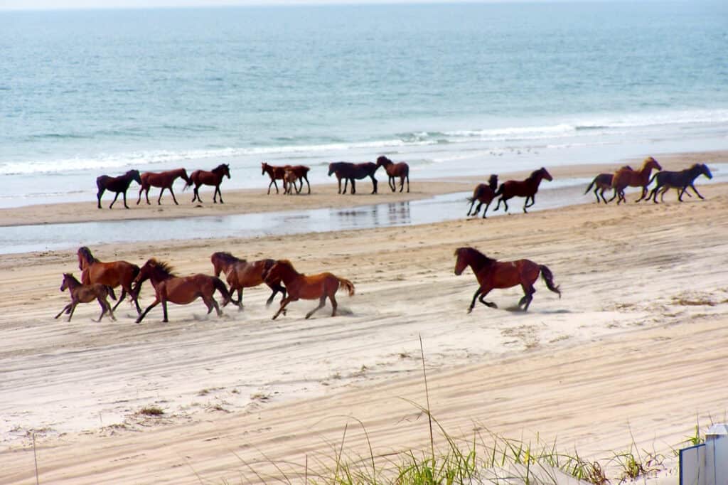 things to do in the outer banks