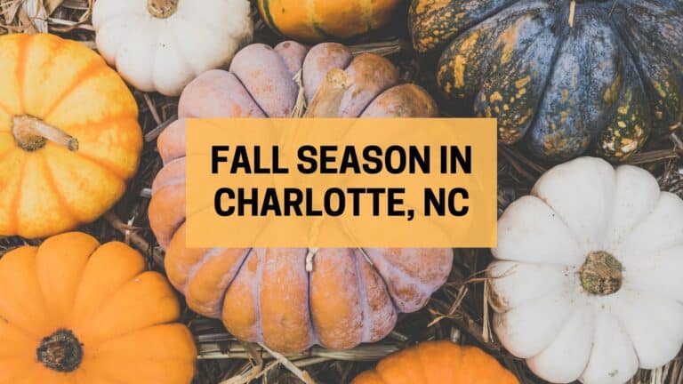20 Must-Do Fall Activities in Charlotte, North Carolina