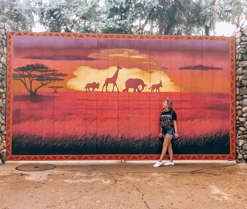 animal kingdom instagram caption and picture inspo