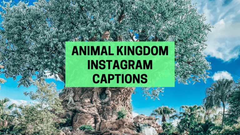 30 Fun Animal Kingdom Instagram Captions for your Trip to Disney
