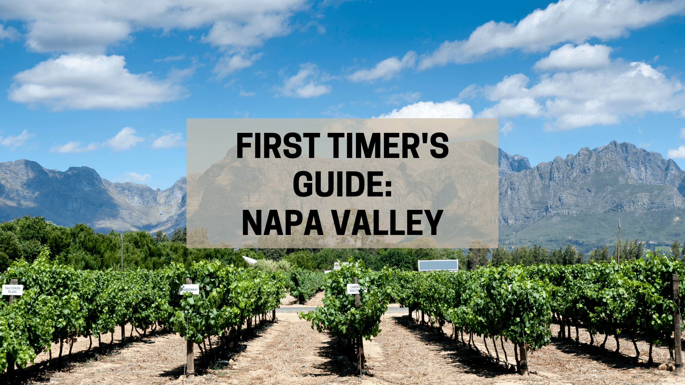first timer's guide to napa valley