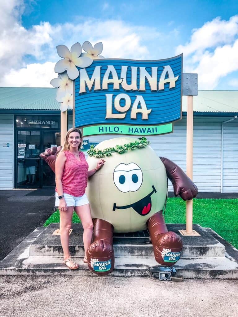 Mac nut farm in Hilo Hawaii