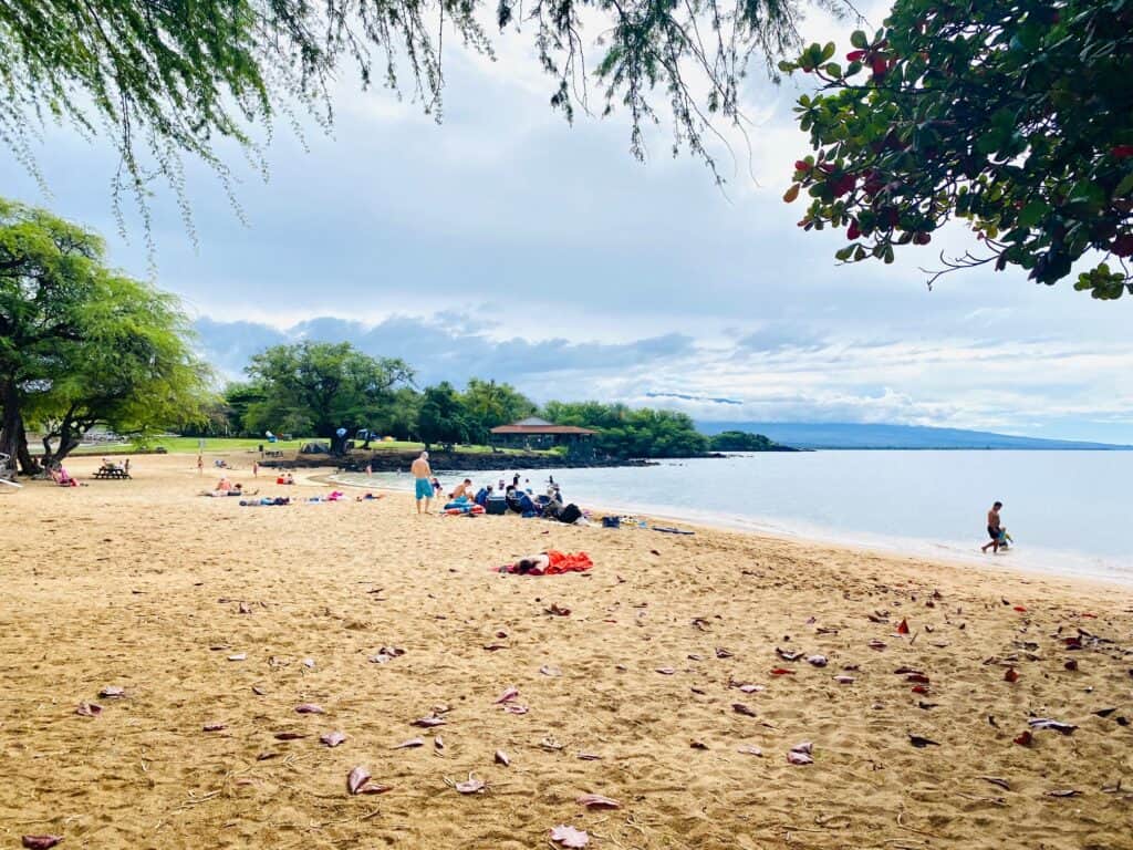 Spencer's Beach - best beaches on the big island of hawaii