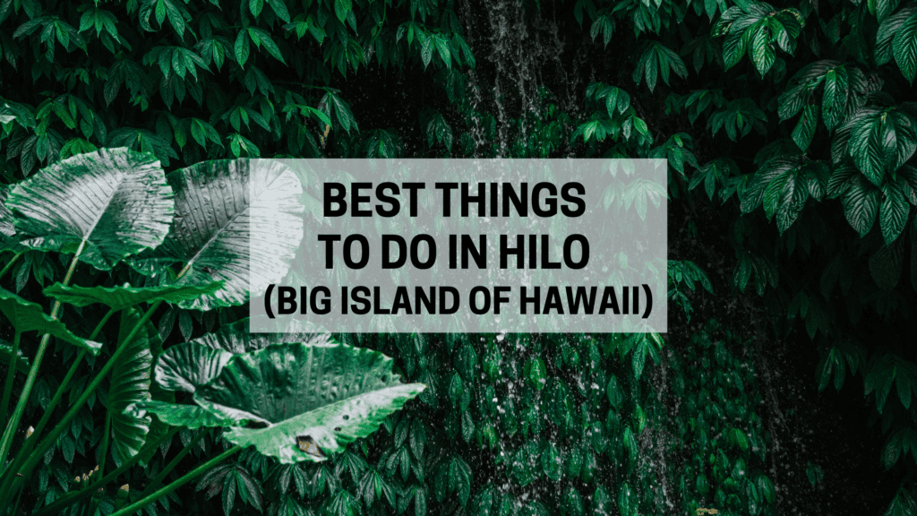 things to do in Hilo