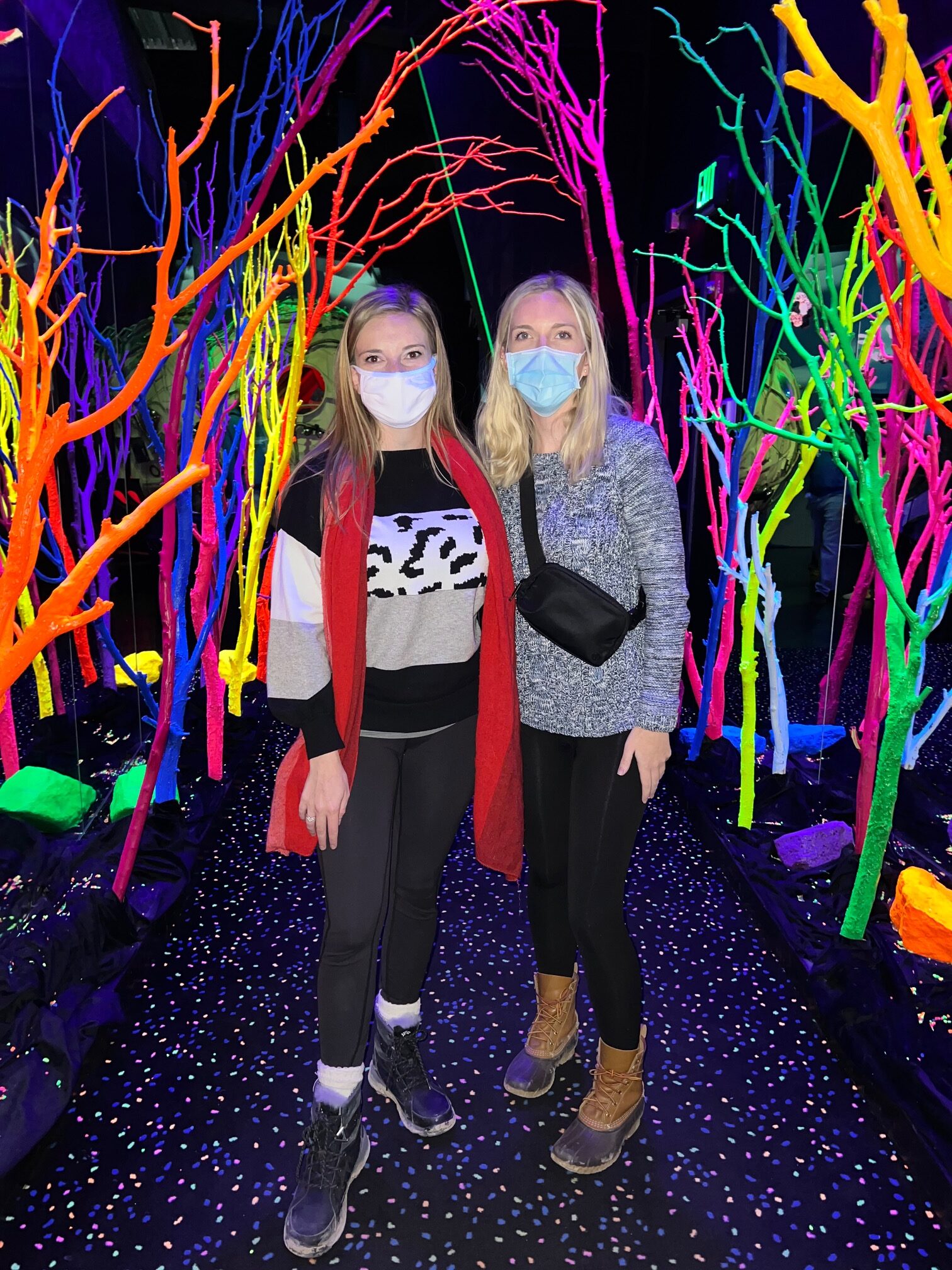 Meow Wolf Santa Fe