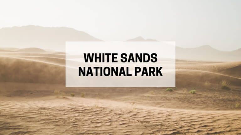 The Best Things To Do in White Sands National Park