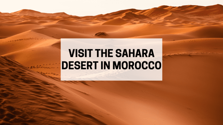 Everything You Need To Know About the Sahara Desert Morocco