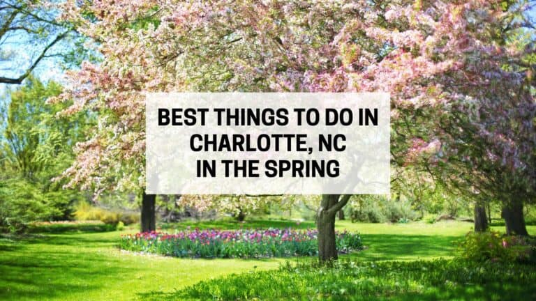 20 Amazing Things To Do in Charlotte in the Spring
