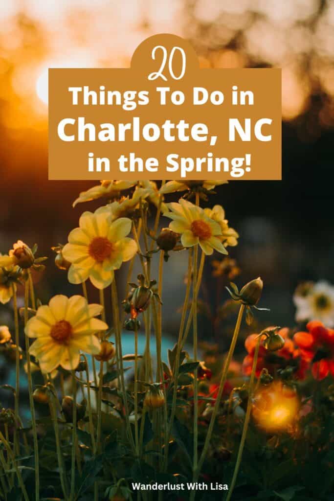 things to do in charlotte in the spring